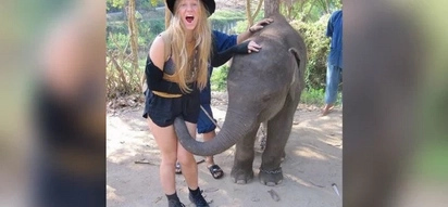 An elephant decided to show his affection for a woman. What he did will make you laugh to tears!