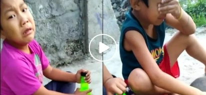 Netizens moved by these two young boys who burst into tears beside their dead dog