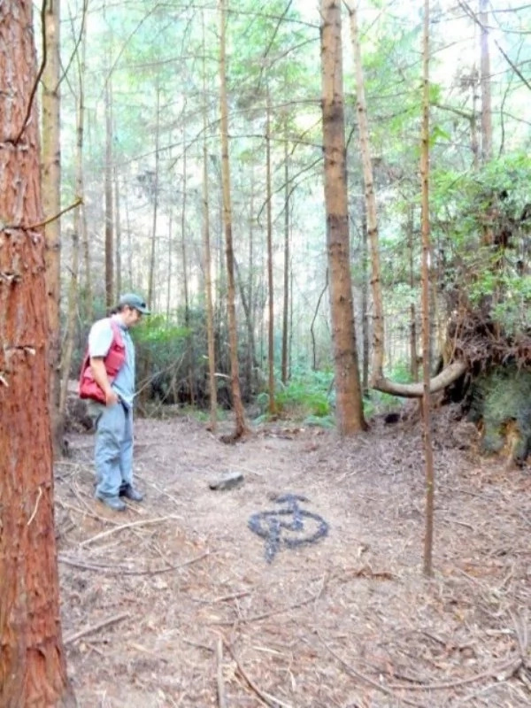 A squatter builds a remarkable shelter in a forest but evades all human contact A squatter builds a remarkable shelter in a forest but evades all human contact