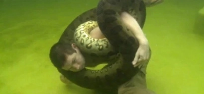 Daredevil Wrestles A 4 Meter Long Anaconda Underwater
