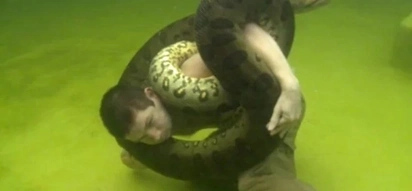 Daredevil Wrestles A 4 Meter Long Anaconda Underwater