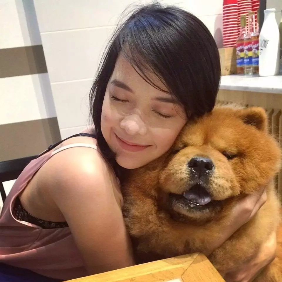 dog-lover dog-lover