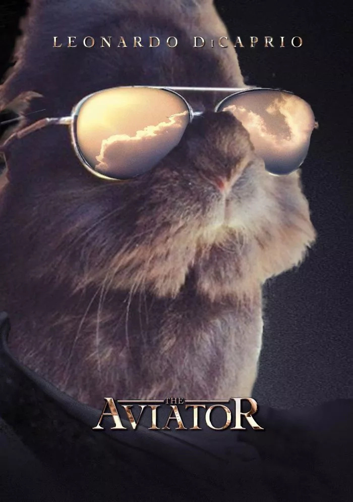 Somebody Put Sunglasses on a Cute Bunny and Internet Went Totally Insane (10+ Pics) Somebody Put Sunglasses on a Cute Bunny and Internet Went Totally Insane (10+ Pics)