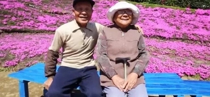 Loving husband plants thousands of flowers for his blind wife to smell