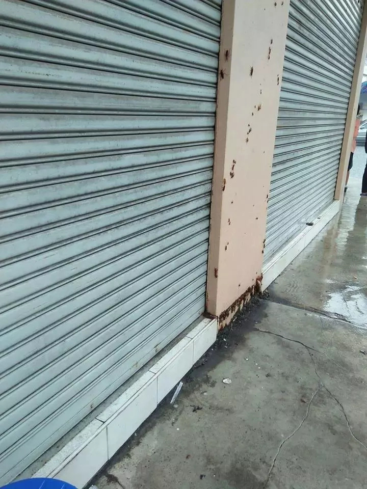 What’s for Lunch: Noodles With a Side of Cockroaches and Rats, Please What’s for Lunch: Noodles With a Side of Cockroaches and Rats, Please