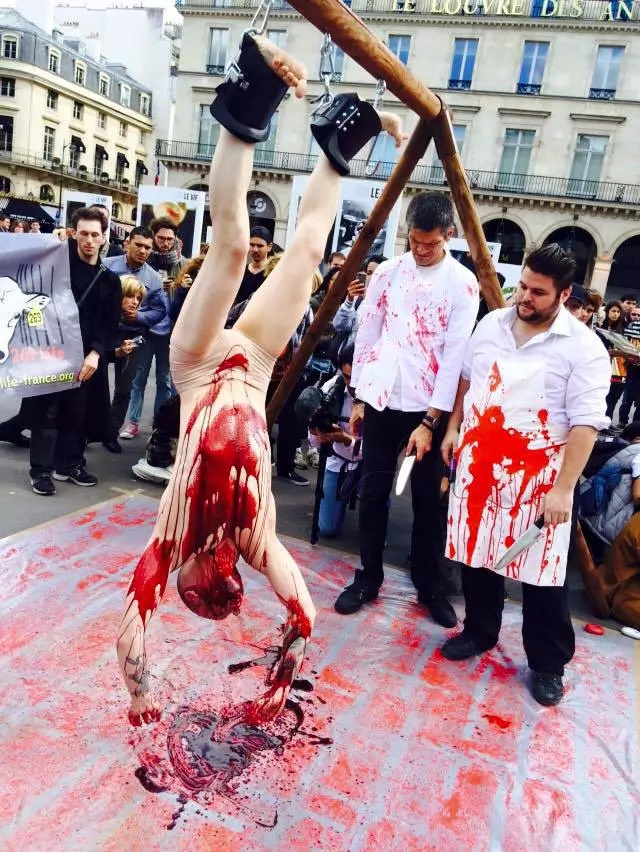 Animal Lover Stage Bloody Protest Against Meat Consumption