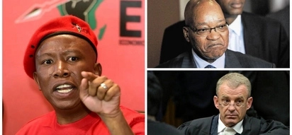 Week in review: EFF death threats, those 'bloody racists' a botched Nkandla homecoming and another Zuma baby