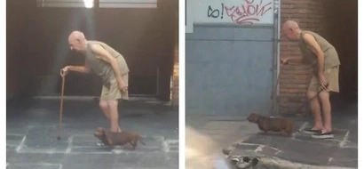 This dog patiently walks with its old owner. Despite being slow, the adorable pet still waits for his every step