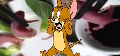 Disgusting video of a Chinese man eating mice babies alive is shocking the internet
