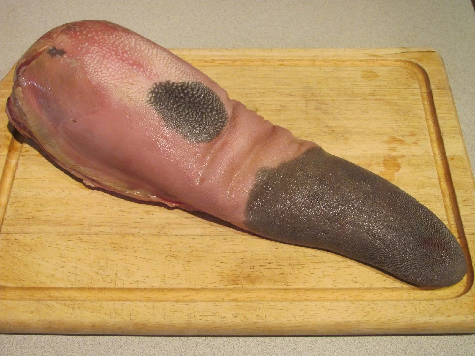 Florida Guy Tries To Steal Cow Tongue By Stuffing It Down His Pants Florida Guy Tries To Steal Cow Tongue By Stuffing It Down His Pants