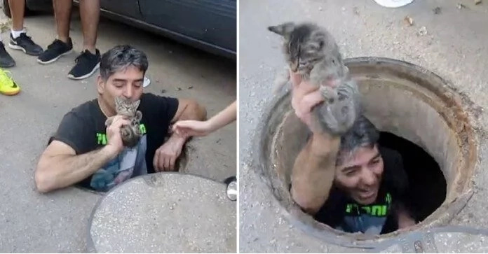 Heroic man jumps in storm drain to save poor kitten Heroic man jumps in storm drain to save poor kitten