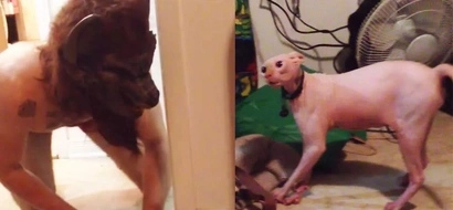 WATCH: Man wears werewolf mask to scare his cat; how the cat reacted will shock you!