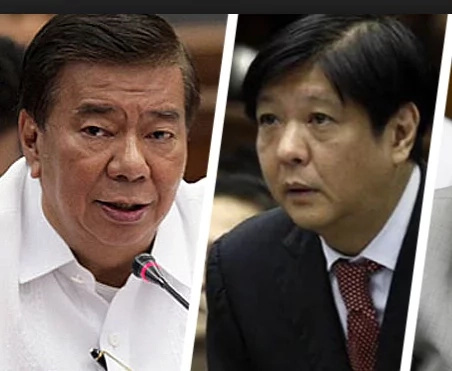 Drilon to Marcos: Under voting is natural Drilon to Marcos: Under voting is natural