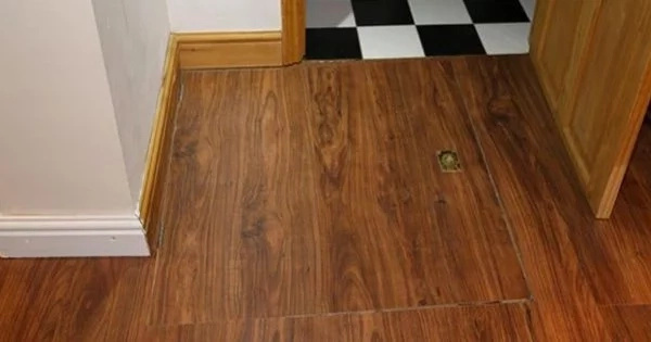 Trap Door - Source : Daily Star Trap Door - Source : Daily Star