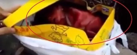 Newborn baby left inside a box to die Newborn baby left inside a box to die