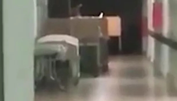 Spooky! SOUL of dead child caught on camera by terrified hospital staff. Can you see it (photos,video) Spooky! SOUL of dead child caught on camera by terrified hospital staff. Can you see it (photos,video)