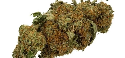 Police Accuse Man of Eating Cannabis... From His Rectum!