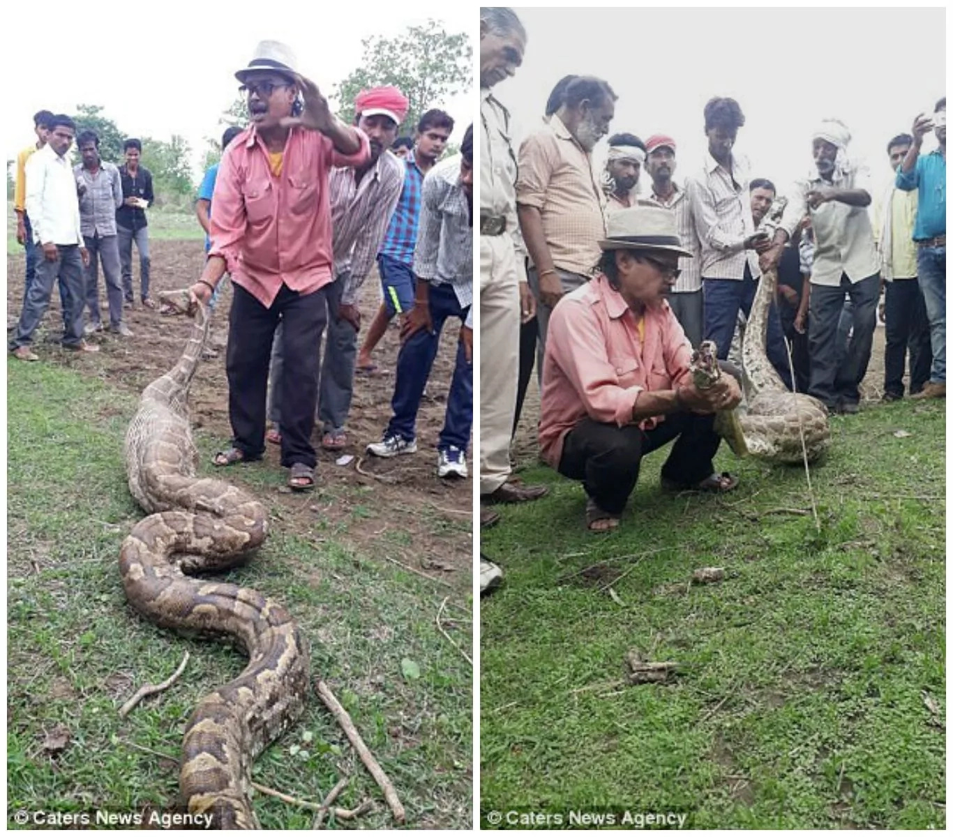 The villagers attempted to save the goat. Photo: Caters News Agency The villagers attempted to save the goat. Photo: Caters News Agency