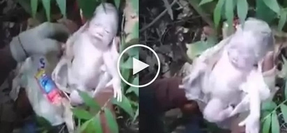 Villagers rescued a newborn child abandoned by parents