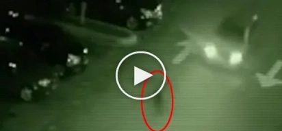 A ghost appeared in front of the moving car in Quezon