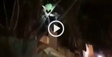 Snake spotted joining the celebration during Kadayawan Festival