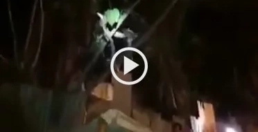 Snake spotted joining the celebration during Kadayawan Festival