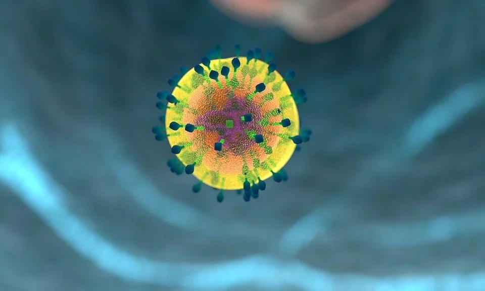 does a weak immune system mean you have hiv