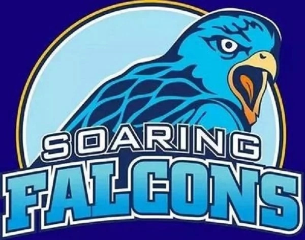 falcons-logo falcons-logo