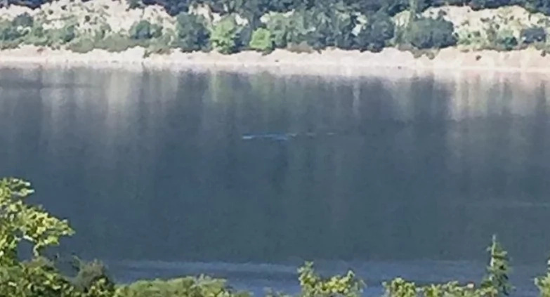 How Many 'Loch Ness Monsters' Can There Be? Here Are The Options How Many 'Loch Ness Monsters' Can There Be? Here Are The Options