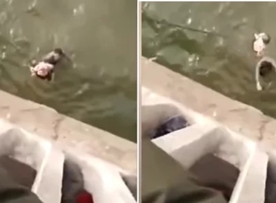 This heroic taxi driver jumps off bridge to save baby thrown by her own heartless mother. Watch the heart-stopping moment.