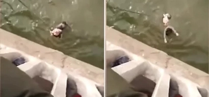 This heroic taxi driver jumps off bridge to save baby thrown by her own heartless mother. Watch the heart-stopping moment.
