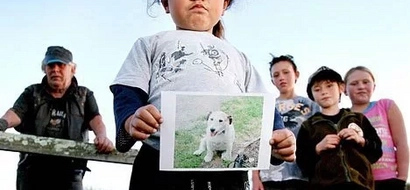 What this terrier did will make you cry; here's why