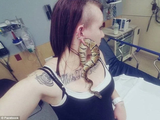 SNAKE slithered its way in woman's EAR and got stuck (photos)