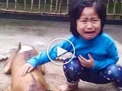 A tearful story: 5-year-old girl finds her missing pet dog being sold ready-cooked