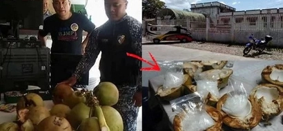 Policemen bust these daring drug traders who hid the illegal substance inside coconuts! Saan kaya nila ilalagay sa susunod?