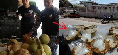 Policemen bust these daring drug traders who hid the illegal substance inside coconuts! Saan kaya nila ilalagay sa susunod?