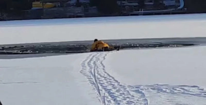 Poor Puppy Fell Through Ice on Lake, Then Firefighters Came... (Video) Poor Puppy Fell Through Ice on Lake, Then Firefighters Came... (Video)