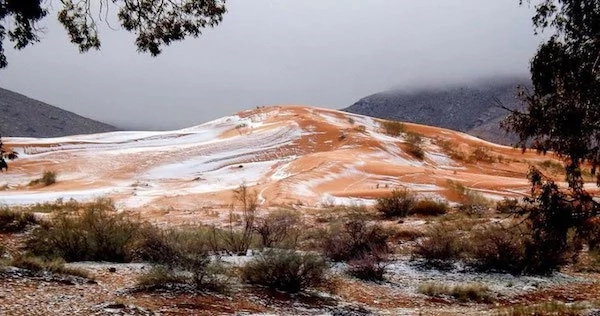 Surprise as snow falls in the Sahara desert for first time in over 37 years