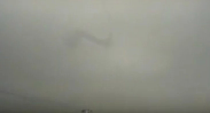 Well F*ck, Bizarre CRYPTID Filmed In China! Well F*ck, Bizarre CRYPTID Filmed In China!