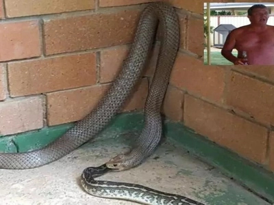 This man dies from a fatal snake bite while doing this activity!