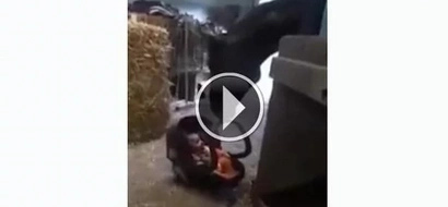 The babe started crying and what the horse did was simply amazing