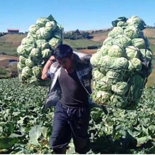 LOOK: 7 handsome blue-collar workers that have gone viral LOOK: 7 handsome blue-collar workers that have gone viral