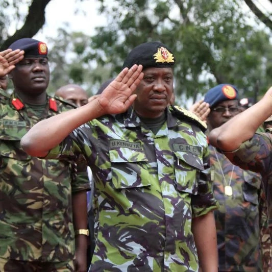 Revealed: Uhuru’s chilling message to UN security council on al-Shabaab