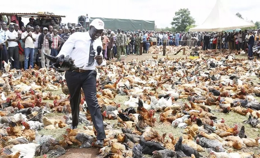 Ruto sells chicken worth Sh6 million