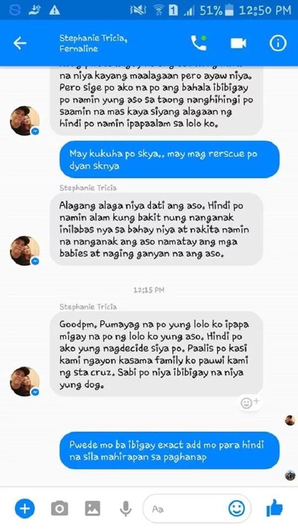 netizen-dog-abuse netizen-dog-abuse