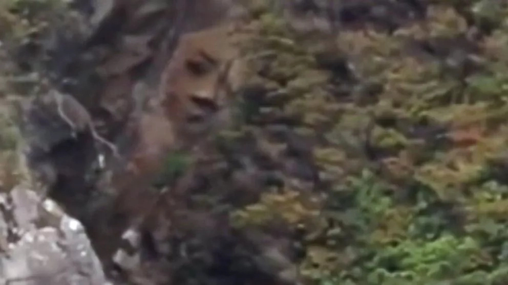He spotted a massive thing on a cliff side, he zoomed the camera to find this! He spotted a massive thing on a cliff side, he zoomed the camera to find this!