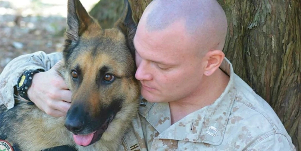 How Did They Disrespect This Veteran? How Did They Disrespect This Veteran?