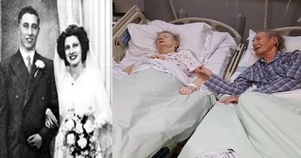 A Beautiful Story Of Undying True Love! Husband Requested To Be Moved Beside His Dying Wife. A Beautiful Story Of Undying True Love! Husband Requested To Be Moved Beside His Dying Wife.