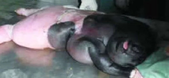 A butcher found a human-like creature in the bowel of a sheep. Some people think that the ewe was impregnated by a human being A butcher found a human-like creature in the bowel of a sheep. Some people think that the ewe was impregnated by a human being