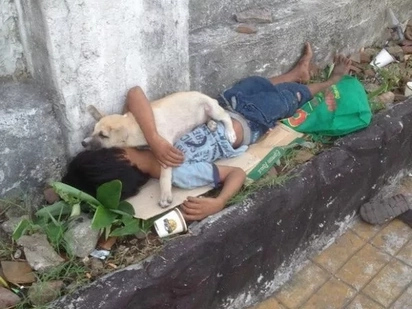 Portrait of pure love: the loyal dog and its poor master